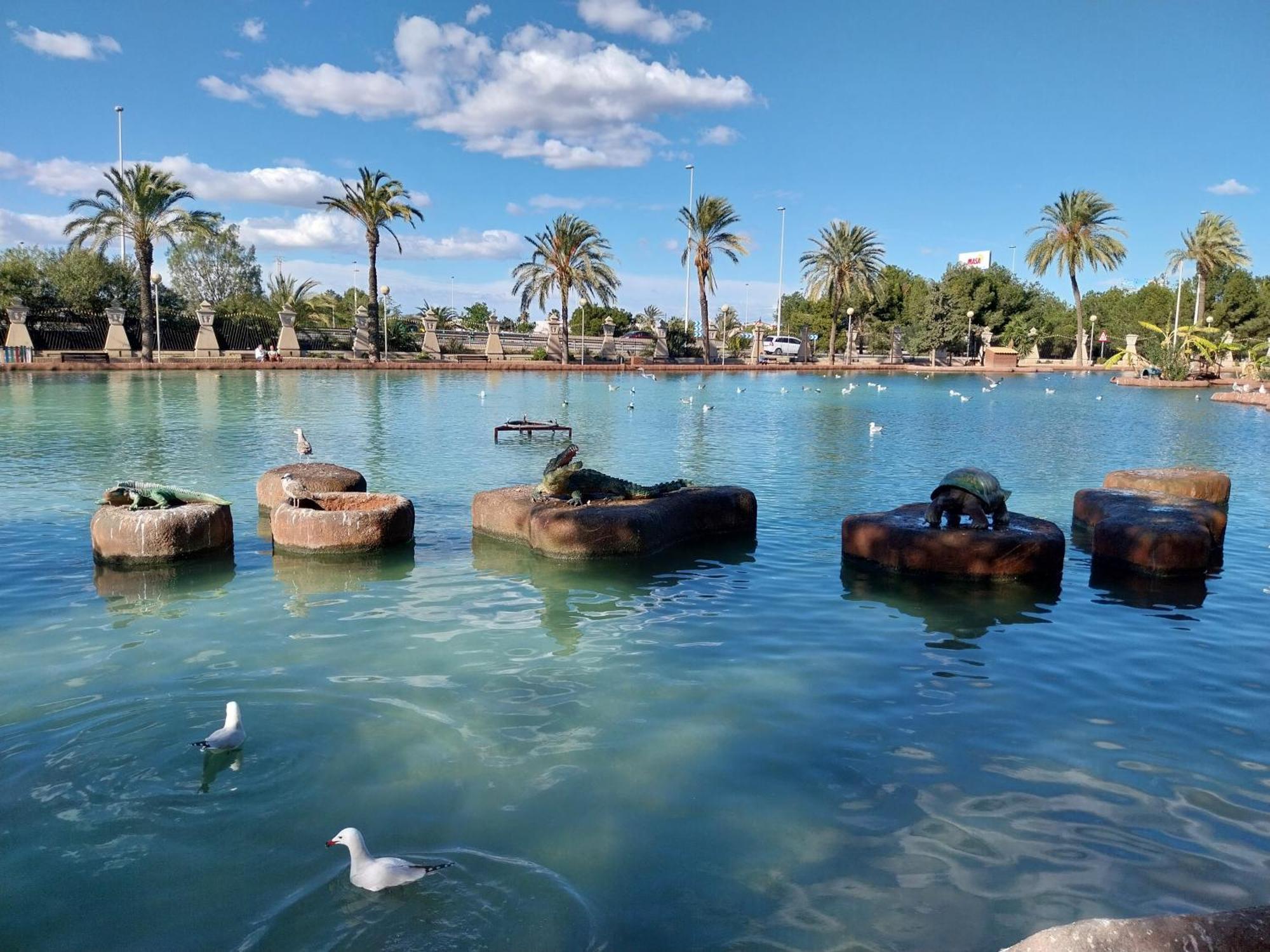 Spanish Harbor Torrevieja